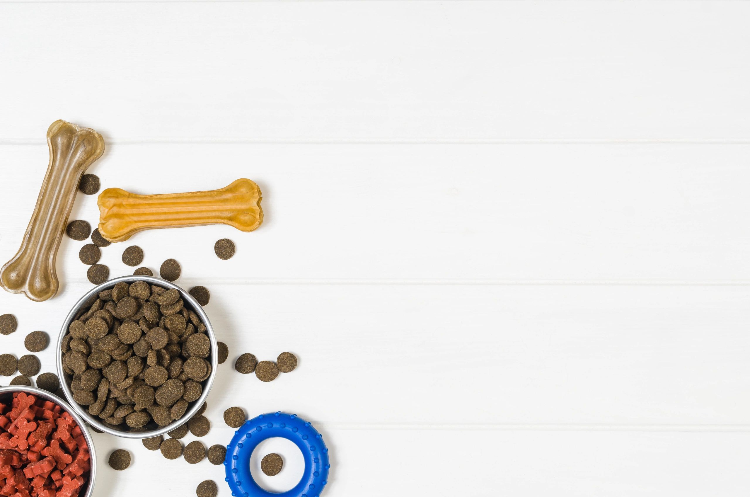 Pet accessories and food arranged on a white background