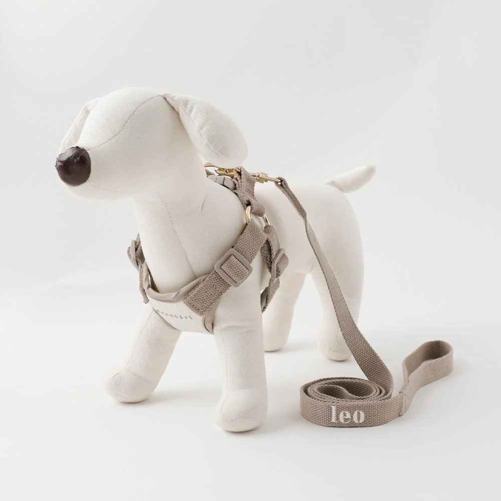 Water -repellent by color harness+lead set (size L) - Image 5