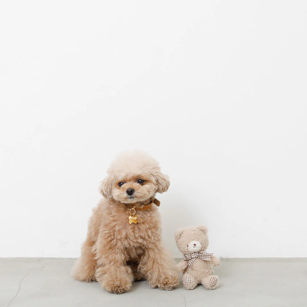 Bear Gingham Check Ribbon Plush - Image 3