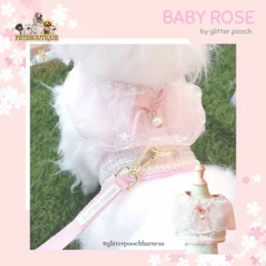 Baby Rose Harness Dog & Cat