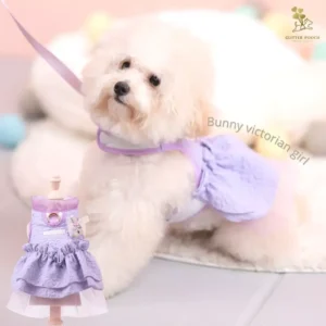 Victorian Purple Harness Dog & Cat