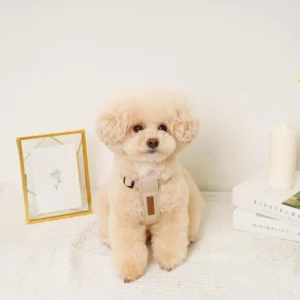 Leather × Linen harness (XL)