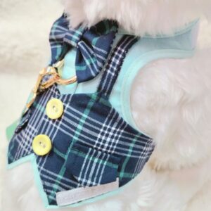Mint Suite Gentlemen Harness Dog & Cat