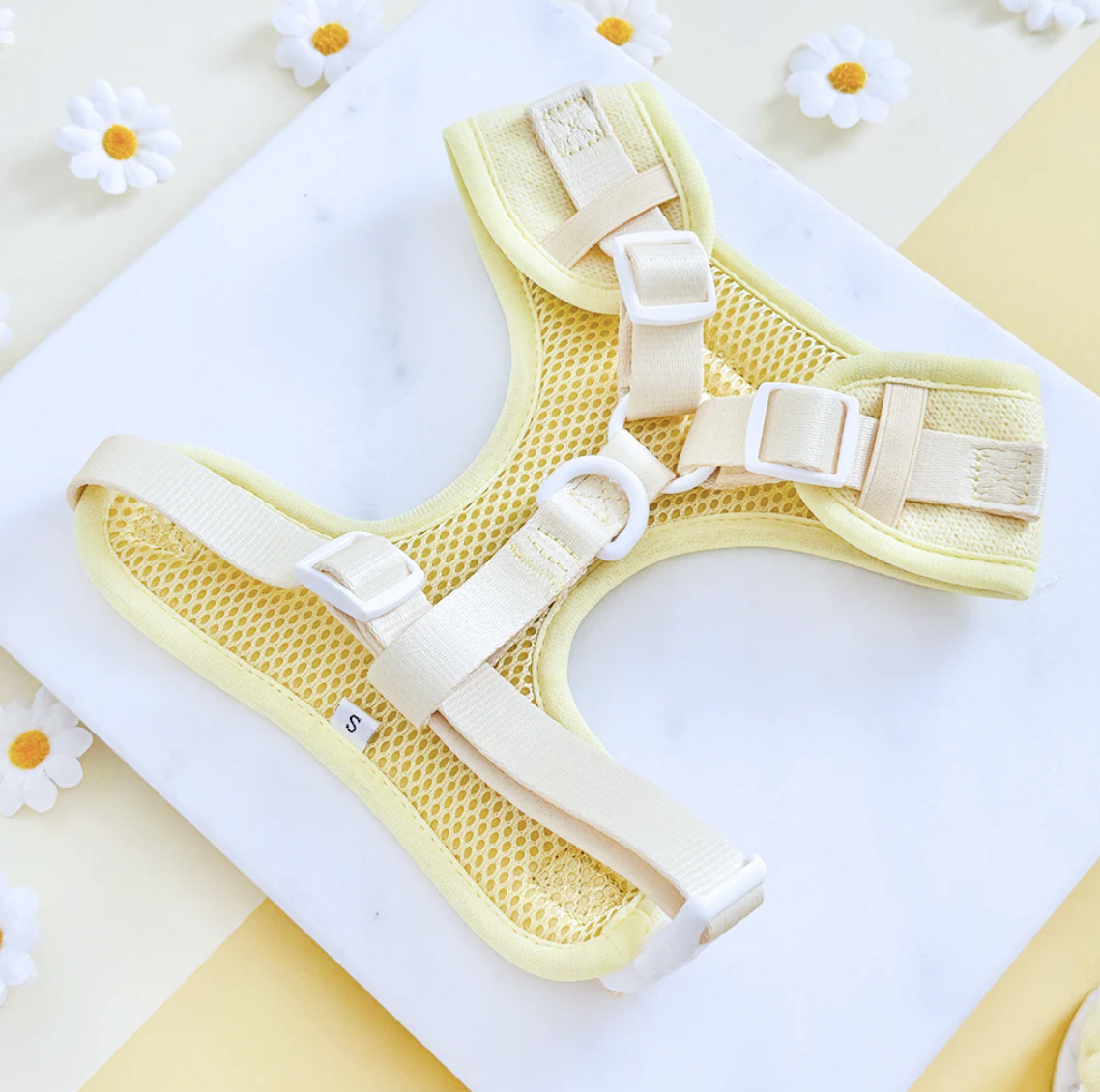 Buttercup Pup Adjustable Neck HARNESS - Image 3