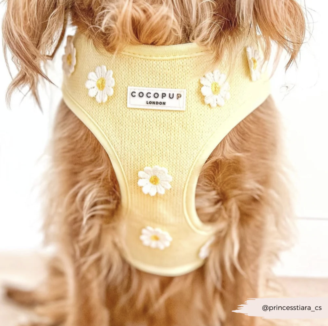 Buttercup Pup Adjustable Neck HARNESS
