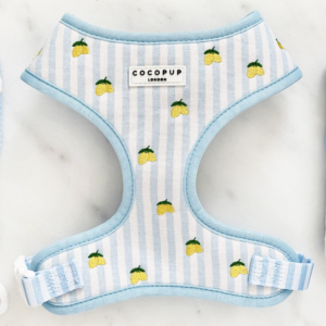 Living La Vida Lemon Adjustable Neck HARNESS