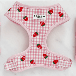 Strawberry Picnic Pup Adjustable Neck HARNESS
