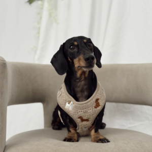 Ralph & Friends Mocha Teddy