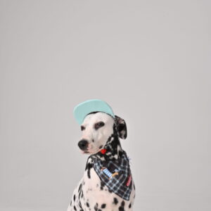 LDAIELLE Cool Design Cap