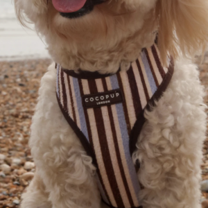 Brown & Blue Stripes Adjustable Neck HARNESS